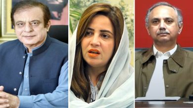 فیصل آباد: 9 مئی کیس میں عمر ایوب، شبلی فراز، زرتاج گل سمیت 108 افراد کو سزائیں، 77 ملزمان بری