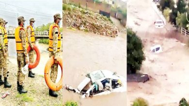 ملک بھر میں حالیہ بارشوں سے مزید 10 افراد جاں بحق، مجموعی ہلاکتیں 252 ہو گئیں: این ڈی ایم اے