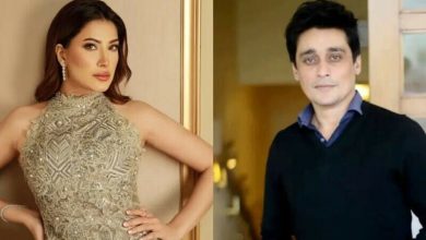 ساحر لودھی کی وائرل ویڈیوز پر مذاق، مہوش حیات کا سخت ردعمل