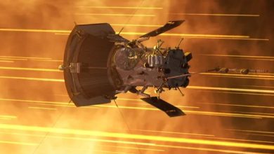 ناسا نے سورج کی اب تک کی قریب ترین تصویر جاری کر دی