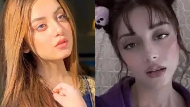 علیزے شاہ کی نئی ویڈیو پر سوشل میڈیا پر تنقید کی لہر