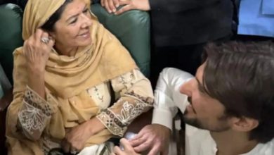 شاہ ریز اور شیر شاہ گرفتار، علیمہ خان کا مؤقف: جتنا دباؤ ڈال لیں، پیچھے نہیں ہٹیں گے