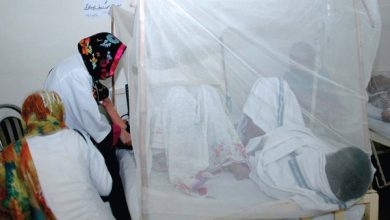 خیبرپختونخوا میں ڈینگی کے وار تیز، پشاور سمیت متعدد اضلاع متاثر