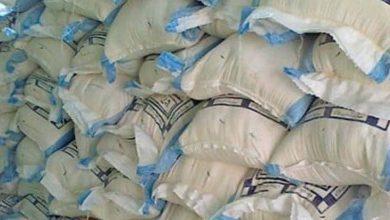 اس اضافے کے باعث لاہور میں آٹے کی قیمتوں میں نمایاں تبدیلی آئی ہے۔ اگست کے آغاز میں 20 کلو آٹے کا تھیلا 1400 روپے میں دستیاب تھا، جو اب بڑھ کر 1700 روپے تک پہنچ گیا ہے۔ چکی کا آٹا بھی مہنگا ہو کر 130 روپے فی کلو سے بڑھ کر 135 روپے فی کلو ہو چکا ہے۔ بلوچستان میں گندم کی 100 کلو بوری کی قیمت میں 2000 روپے کا اضافہ ہوا، جس کے بعد نئی قیمت 9000 روپے ہو گئی ہے۔ پنجاب میں فلور ملز کے آٹے کی 100 کلو بوری 6900 روپے سے بڑھ کر 8900 روپے میں فروخت ہو رہی ہے۔ پشاور میں بھی قیمتوں میں نمایاں اضافہ دیکھنے میں آیا ہے، جہاں 20 کلو آٹے کا تھیلا 550 روپے مہنگا ہو کر 1850 روپے میں فروخت ہو رہا ہے۔