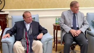 نواز شریف کی سیلاب متاثرین کی فوری امداد کی ہدایت، وزیراعظم سے جاتی عمرہ میں ملاقات