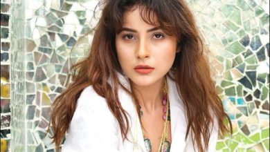 اداکارہ شہناز گل طبیعت ناساز، اسپتال میں زیر علاج — مداحوں سے دعاؤں کی اپیل