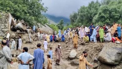 پنجاب کے دریا خطرے کی حد عبور کرنے لگے سیلابی صورتحال تشویشناک، ندی نالوں سے دور رہیں: پی ڈی ایم اے کی اپیل