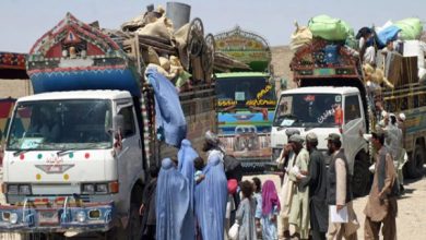 افغان مہاجرین کی واپسی روک دی جائے، افغانستان مشکل وقت سے گزر رہا ہے: بیرسٹر سیف