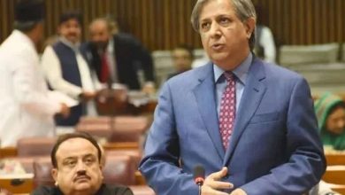 مریم نواز کے بیان پر سیاسی گرما گرمی، اعظم نذیر تارڑ کی پیپلز پارٹی سے معذرت