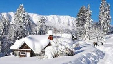 اس سال شدید سردی پڑے گی، موسم کی حیرت ناک فورکاسٹ آگئی