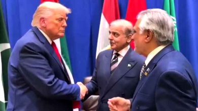 وزیراعظم شہباز شریف اور امریکی صدر ڈونلڈ ٹرمپ کی ملاقات، دوطرفہ تعلقات پر تبادلہ خیال