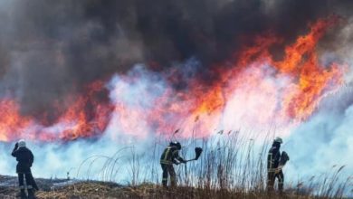 جنگلاتی آگ کے دھوئیں سے ہر سال امریکا میں 41,000 سے زائد اموات کا انکشاف