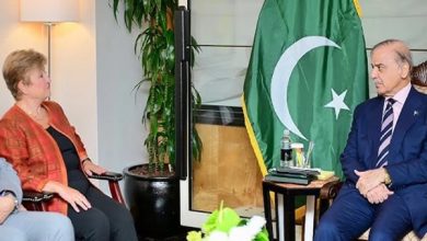 پاکستان میں سیلاب کے اثرات کو آئی ایم ایف جائزے میں شامل کیا جائے، وزیراعظم شہباز شریف کا مطالبہ