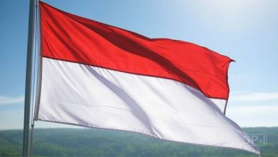 انڈونیشیا میں ہیلی کاپٹر حادثہ، تمام افراد جاں بحق