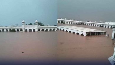 مریم نواز کی ہدایت پر جلالپور پیروالا میں سیلاب متاثرین کا ریسکیو آپریشن مکمل، 3,652 افراد محفوظ مقام پر منتقل