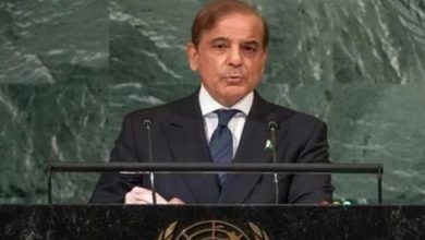 فیلڈ مارشل نے دکھایا جنگیں کیسے لڑی جاتی ہیں،وزیراعظم