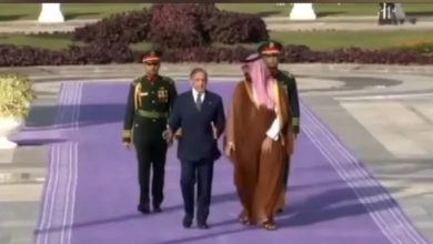 وزیراعظم شہباز شریف کو سعودی عرب میں اعلیٰ ترین شاہی پروٹوکول، جامنی کارپٹ سے استقبال