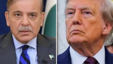 وزیراعظم شہباز شریف کی امریکی صدر ڈونلڈ ٹرمپ سے وائٹ ہاؤس میں باضابطہ ملاقات