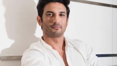 سوشانت سنگھ راجپوت کے اہلِ خانہ سی بی آئی رپورٹ کو چیلنج کرنے والے، عدالت میں سماعت 20 دسمبر کو