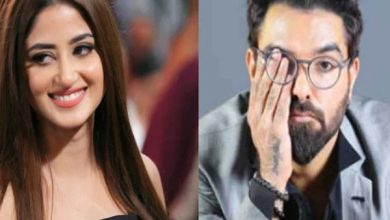 ایوارڈ شو کی اسٹیج پر سجل علی کی حاضر جوابی، یاسر حسین خاموش، ویڈیو وائرل