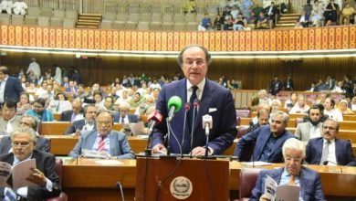 پاکستان نے معاشی میدان میں نمایاں کامیابیاں حاصل کی ہیں، وزیر خزانہ محمد اورنگزیب