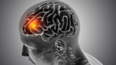 کولمبیا اور میک گل یونیورسٹی کے سائنسدانوں نے دماغ میں خودکشی کے رجحان سے منسلک کیمیکل دریافت کر لیا