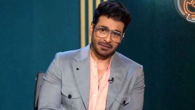 بھارتی فنکاروں اور کھلاڑیوں کی غلطی نہیں، ان پر سیاسی دباؤ ہے: فیصل قریشی