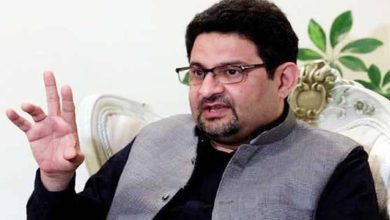 اختیارات کی نچلی سطح پر منتقلی تک مسائل حل نہیں ہوں گے، ہر ڈویژن کو صوبہ بنایا جائے: مفتاح اسماعیل