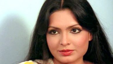 ترپتی دمری پروین بابی کی بائیوپک میں مرکزی کردار نبھائیں گی، نیٹ فلکس سیریز کی ہدایت کاری شونالی بوس کریں گی