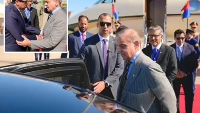 وزیراعظم شہباز شریف اعلیٰ سطح وفد کے ہمراہ شرم الشیخ پہنچ گئے