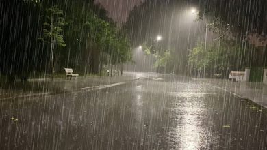 کہاں کہاں بادل برسیں گی؟محکمہ موسمیات نے پیشگوئی کردی