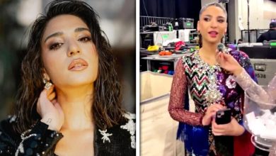 رمشا خان کا انگریزی لہجہ سوشل میڈیا پر تنقید کی زد میں آ گیا