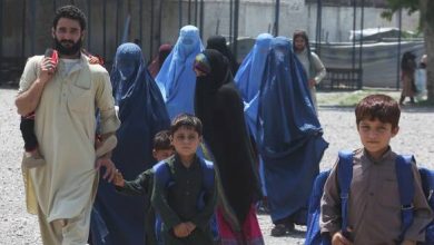 افغان مہاجرین کی وطن واپسی کا سلسلہ تیز، 24 گھنٹوں میں 11,600 واپس گئے