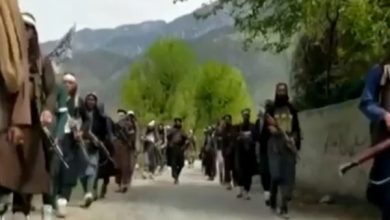 افغانستان میں دہشت گرد نیٹ ورکس کی سرگرمیاں بڑھنے پر عالمی اداروں کا تشویش کا اظہار