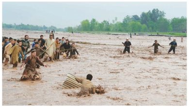 ماہرین کا انتباہ: 2050 تک پاکستان ماحولیاتی بحرانوں کا شکار ہوگا