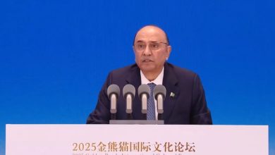 چین ہمارا دوست اور شراکت دار ملک ہے، سی پیک پاکستان کی ترقی کا مظہر ہے، صدر زرداری