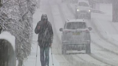 برطانیہ میں ریکارڈ توڑ کڑاکے کی سردی؛ اسکول بند اور معمولاتِ زندگی معطل