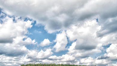 موسم کیسا رہے گا؟ محکمہ موسمیات کی پیشگوئی