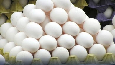 سردیوں کے آغاز کے ساتھ انڈوں کی قیمتوں میں اضافہ
