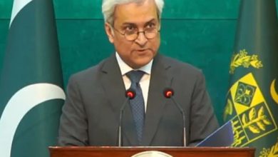 امریکا میں فائرنگ اور تاجکستان میں ڈرون حملے کی ذمہ دار افغان حکومت ہے، دفتر خارجہ