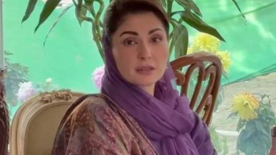 معاشرے کو پُرامن رکھنے کیلئے رواداری کی راہ پر چلنا ہوگا:وزیراعلیٰ مریم نواز