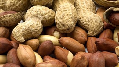 مونگ پھلی: سردیوں کی پسندیدہ خوراک اور صحت کے فوائد