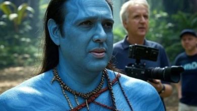 'اواتار: فائر اینڈ ایش' کی ریلیز پر گووندا کے نیلے ناوی کردار والی ویڈیوز وائرل، مگر حقیقت کیا ہے؟