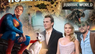 2025 کی ہالی ووڈ کی ٹاپ 5 باکس آفس ہٹ فلمیں