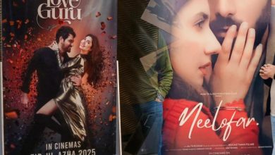 پاکستانی سینما 2025: فلموں کی تعداد میں کمی، مگر 'نیلوفر' اور 'لو گرو' نے باکس آفس کو سہارا دیا