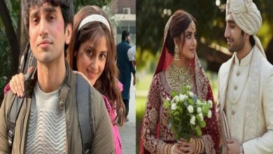 سجل علی اور حمزہ سہیل 2026 میں رشتہ ازدواج میں بندھ جائیں گے؟ سوشل میڈیا پر افواہوں کا بازار گرم