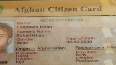 امریکا میں اسلحہ رکھنے اور حملے کی منصوبہ بندی پر گرفتار شخص پاکستانی نہیں، افغان شہری نکلا