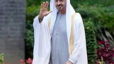 تاریخی استقبال: یو اے ای کے صدر شیخ محمد بن زاید النہیان پاکستان پہنچ گئے، نور خان ایئربیس پر شاندار خیر مقدم