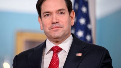 غزہ امن منصوبہ: پاکستان سمیت کئی ممالک کی جانب سے فوجی تعاون پر غور، امریکا کا اظہارِ تشکر