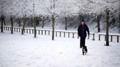 برطانیہ میں شدید برف باری کی پیشگوئی: شمالی انگلینڈ میں 'ایمبر ہیلتھ الرٹ' جاری